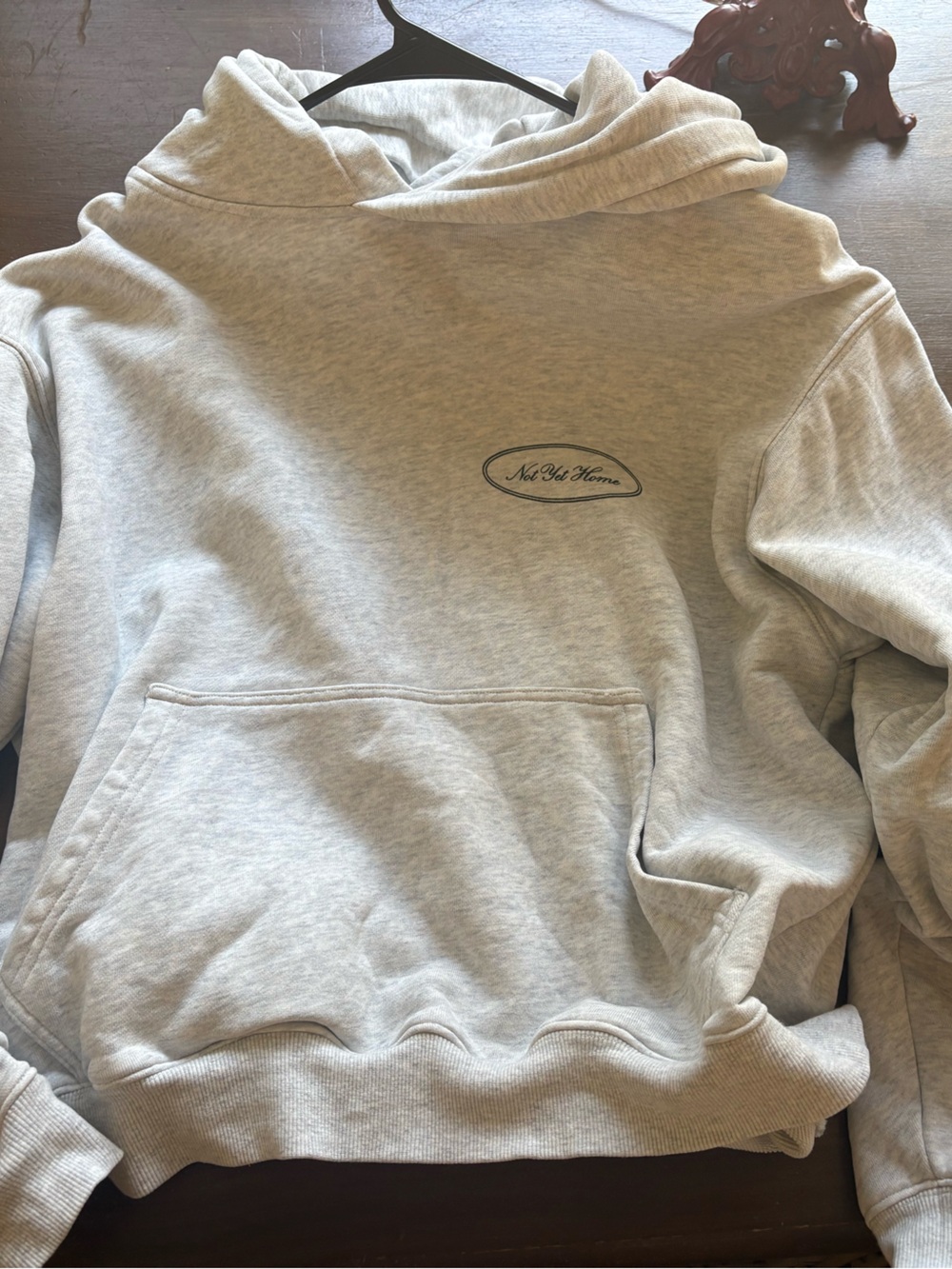 Light Gray Pullover Hoodie with Small Chest Logo